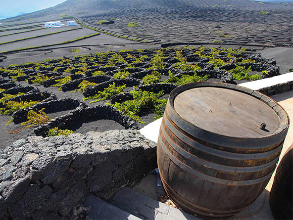 Strange Vineyards, Delicious Wines