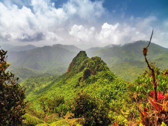 El Yunque